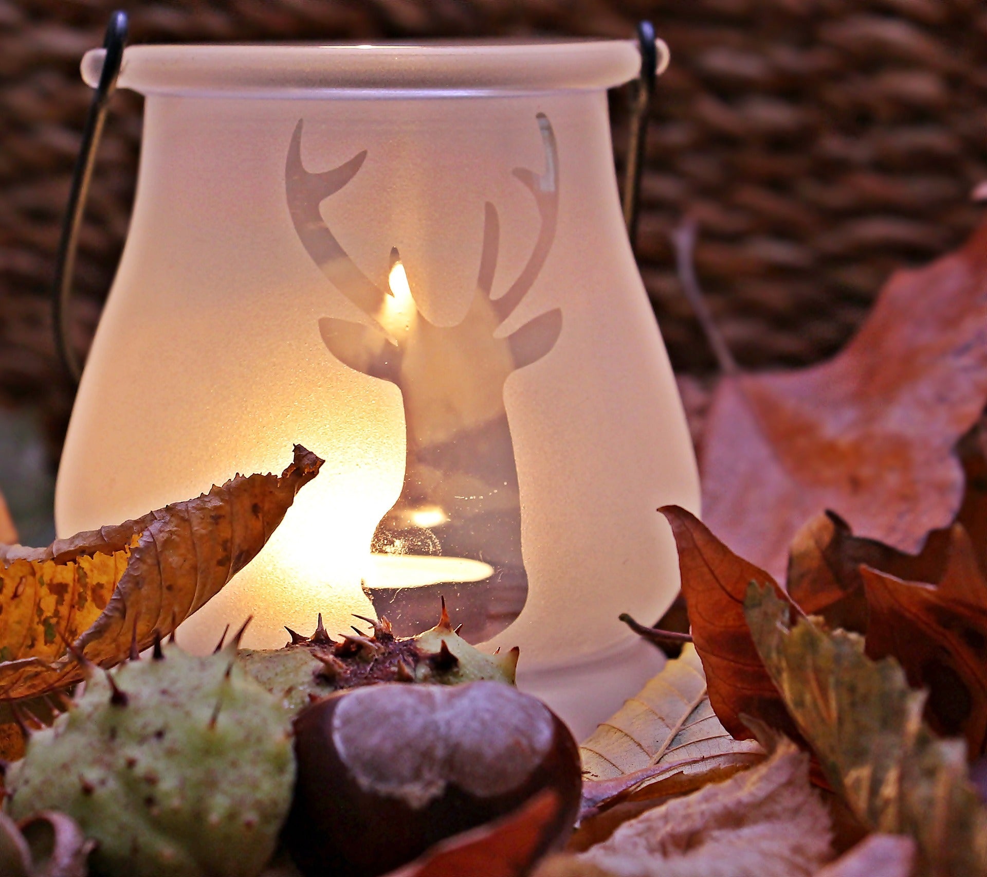 DIY Herbstdeko