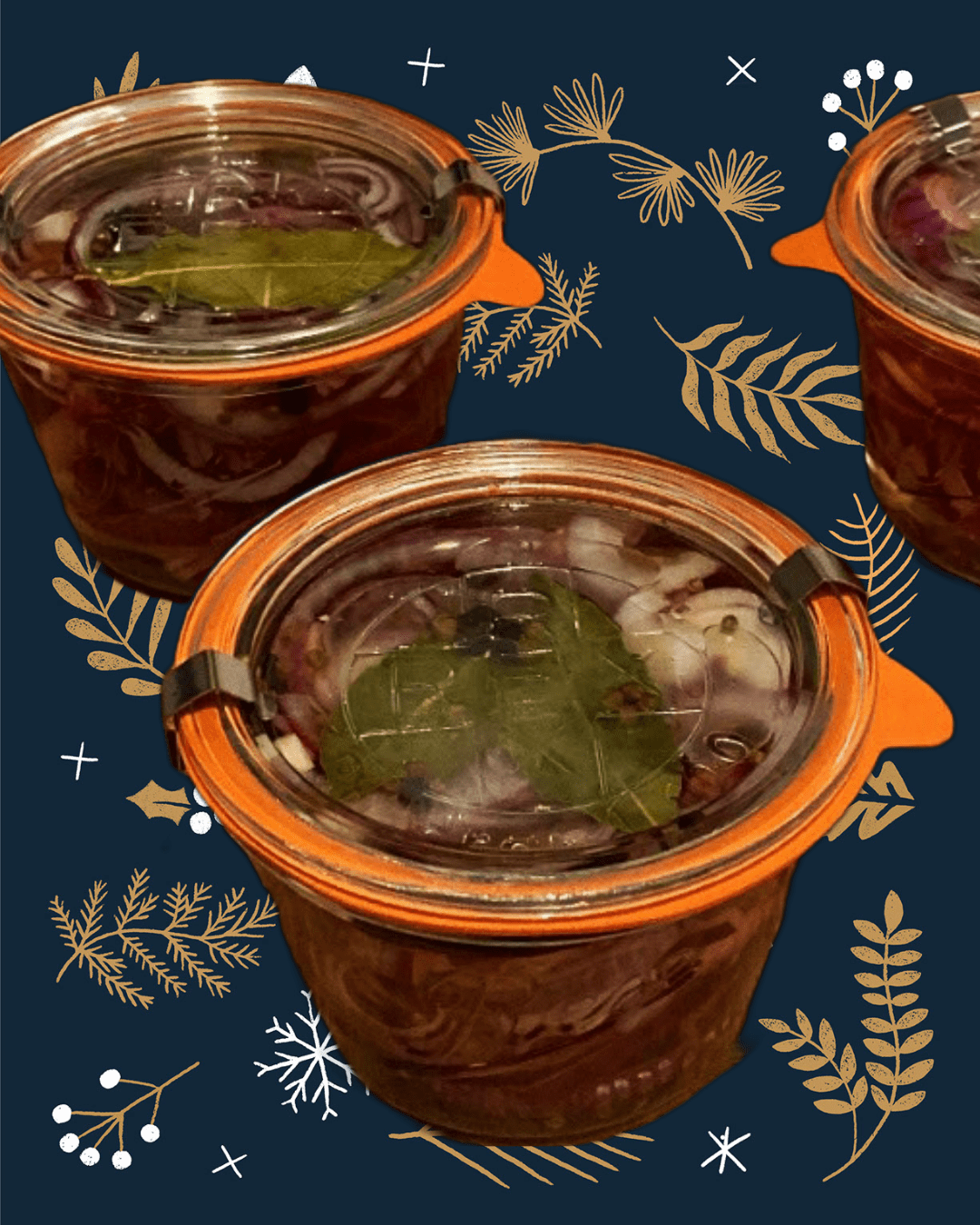 Eingelegte rote Zwiebel / Pickled Onions