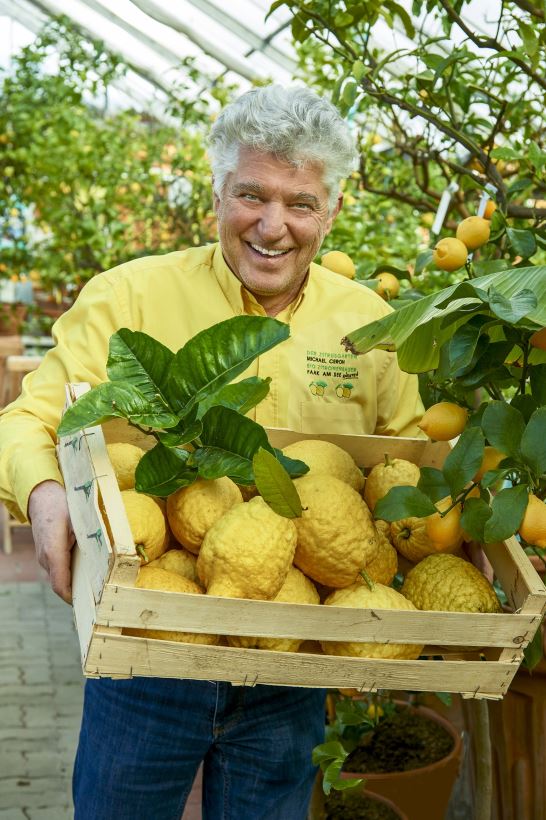 Michael Cerons Zitrusgarten