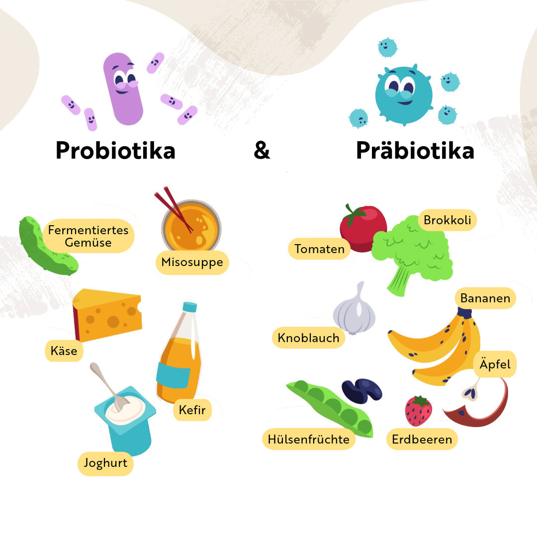 Die Wunderwelt der Prä- und Probiotika