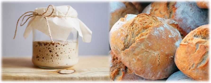 Sauerteigbrot selber backen - ohne Hefe