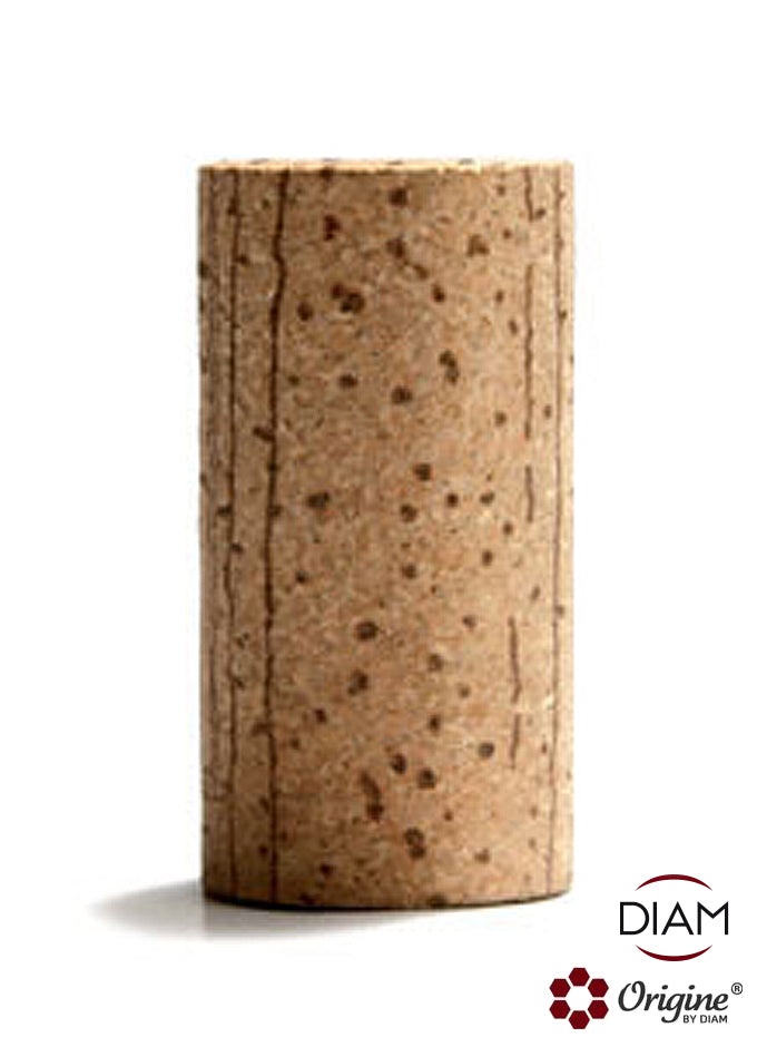 Hauptbild