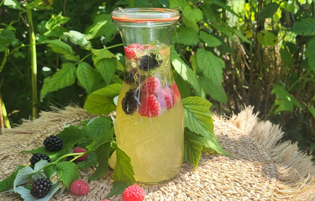 Himbeer Brombeer Thymian Kombucha