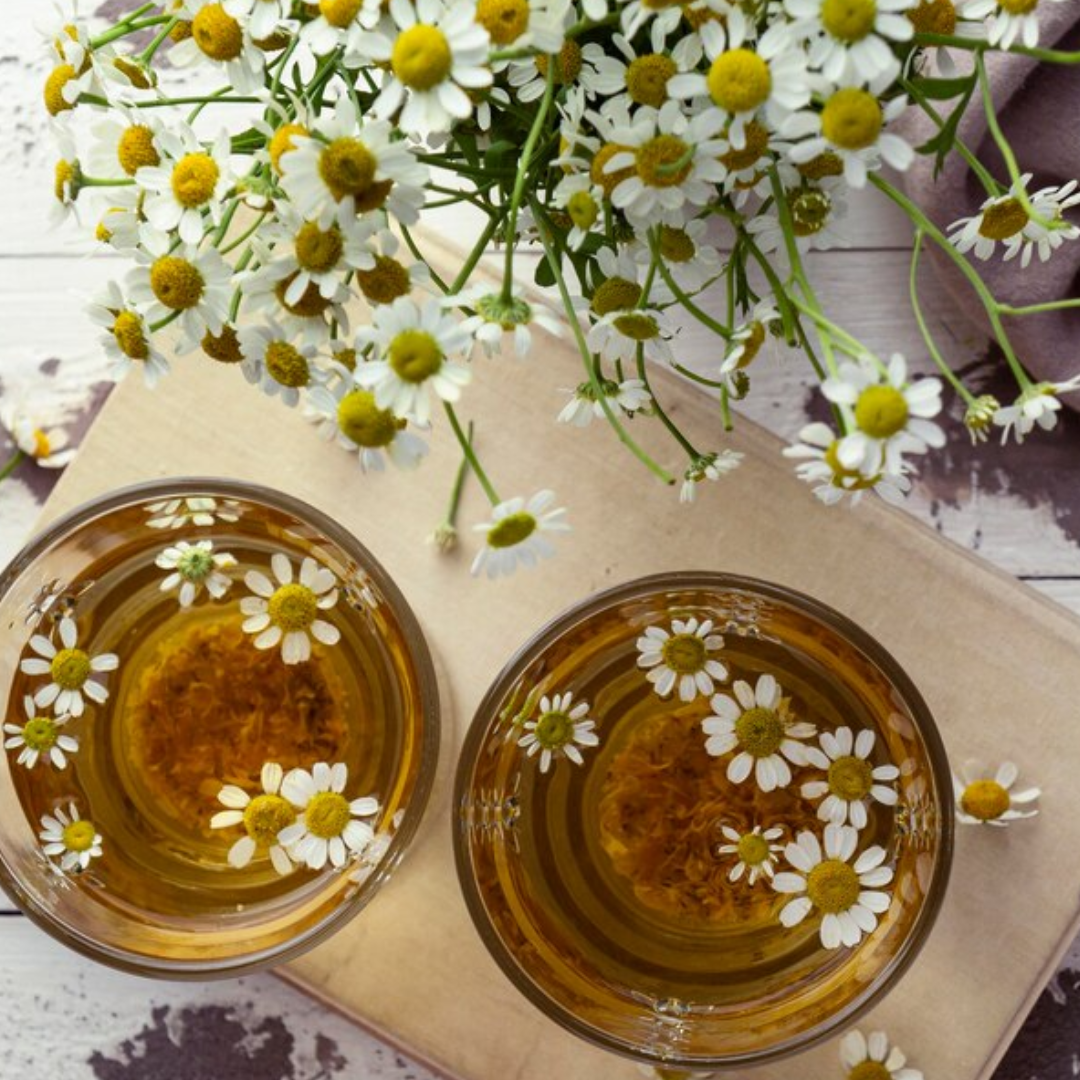 Gänseblümchen-Tee