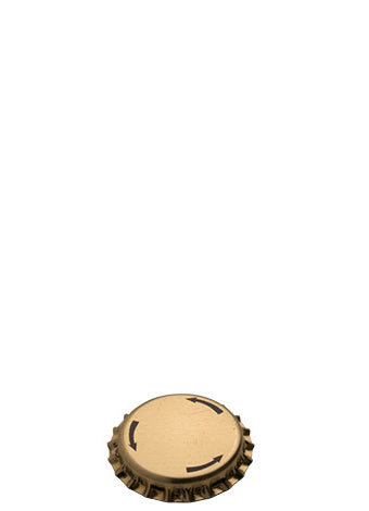 Hauptbild